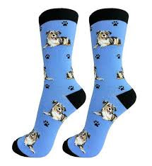 Blue dog