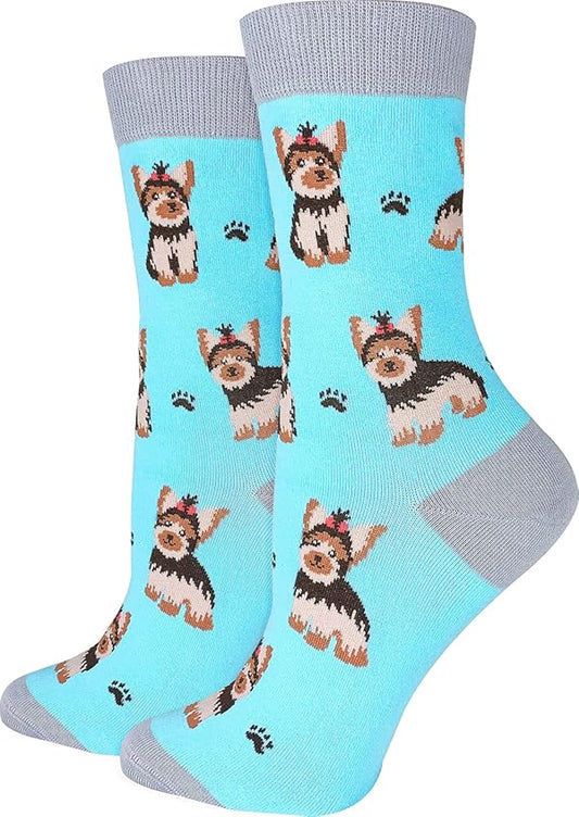 Light blue dog