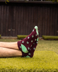 Stargaze (Pack of 5)