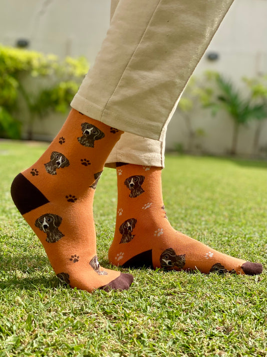Orange (paws)