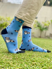 Blue dog