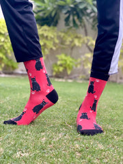Black cat socks
