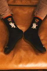 Black and Red bear