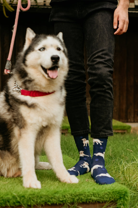 Woof Walkers