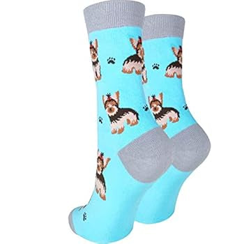 Light blue dog