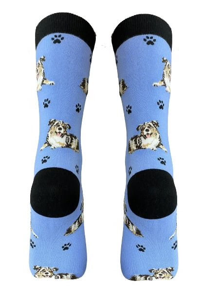 Blue dog