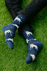 Dog Collection (Pack of 3)