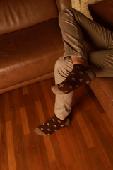 Stargaze (Pack of 5)