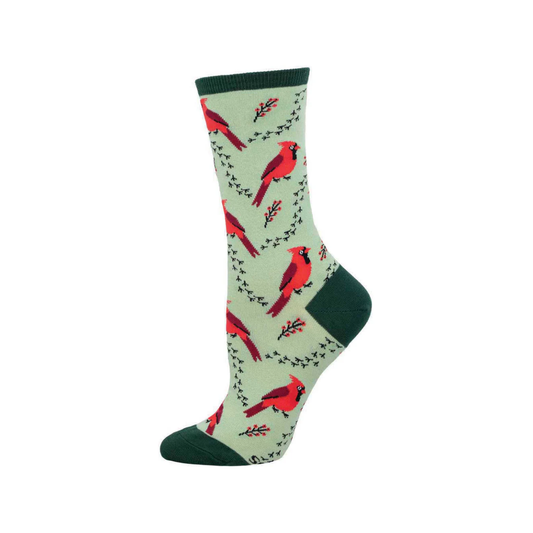 Red Parrot