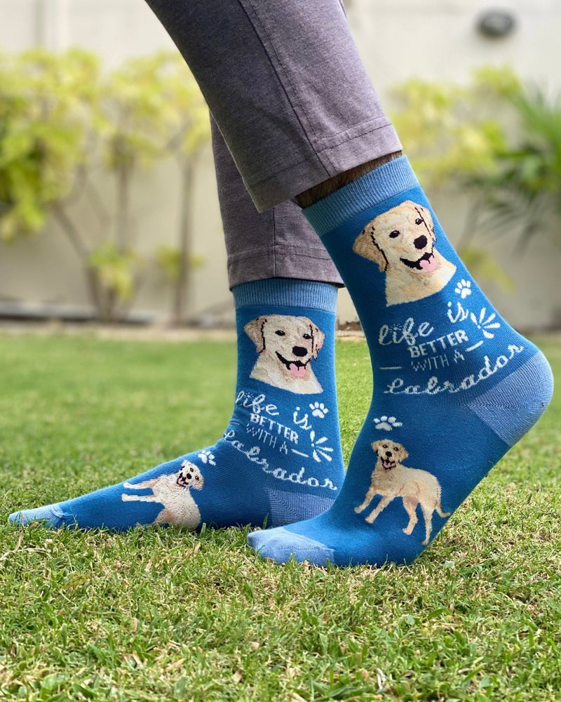 Dog Collection