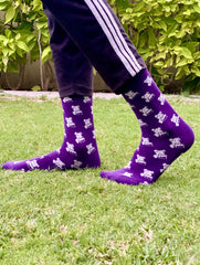 Funky Purple Dog fn1048
