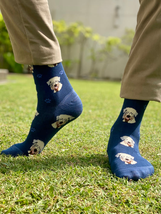 Dark blue (paws)