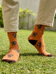 Orange (paws)