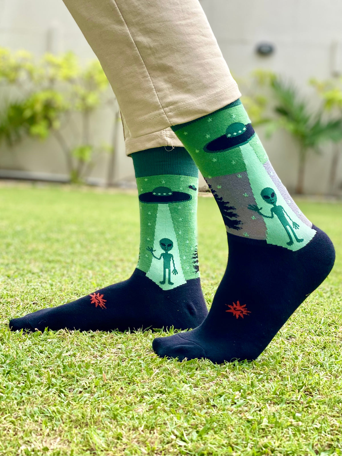 Crazy Alien (LIMITED EDITION)