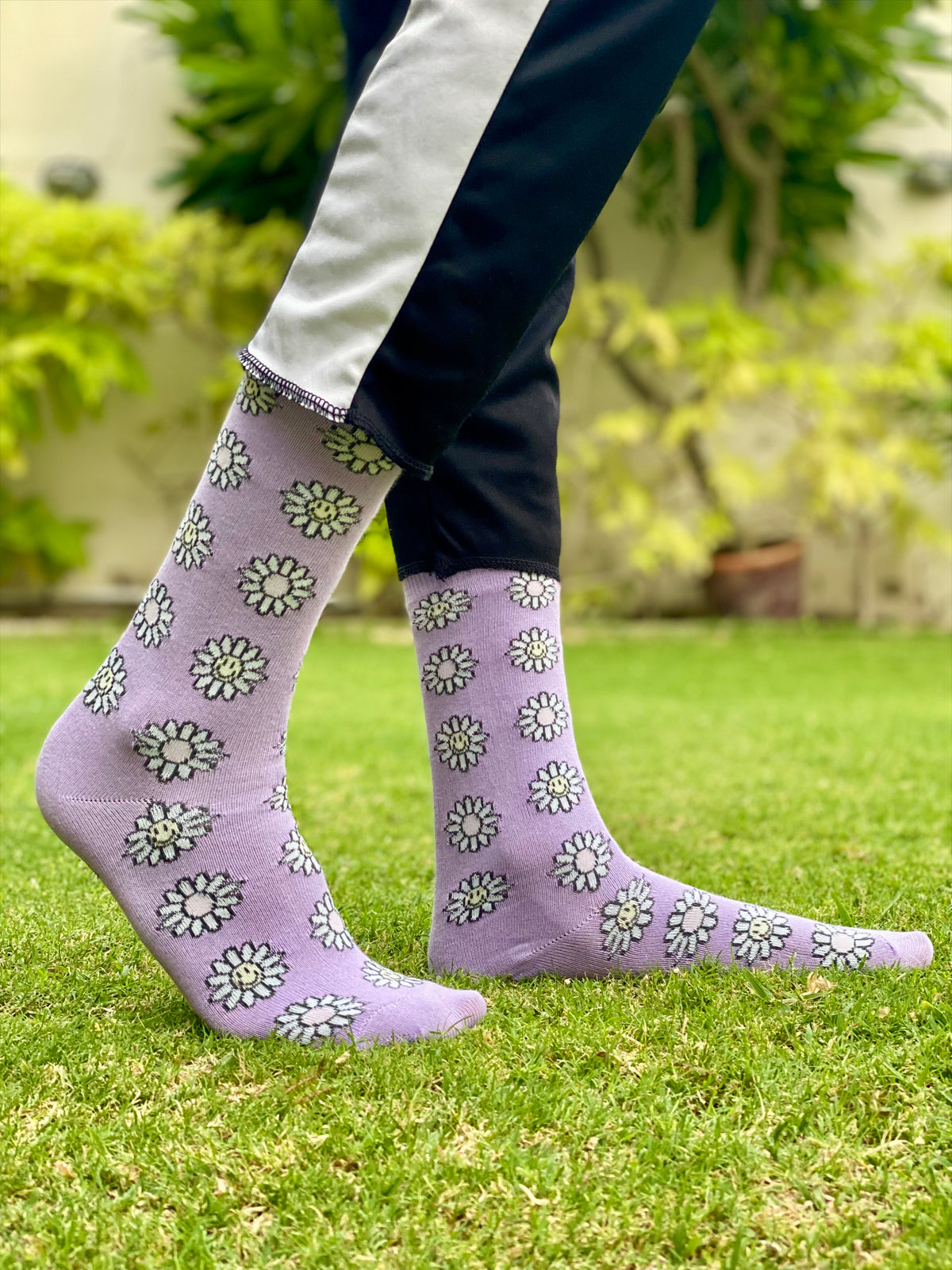 Purple flowers