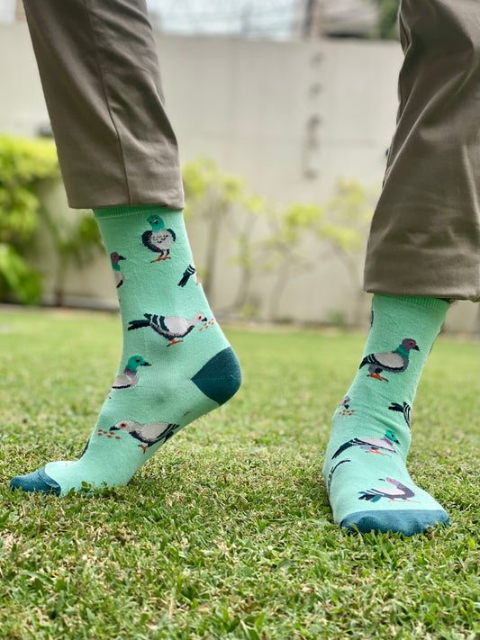 Pigeon socks