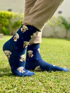 Dark blue (paws)