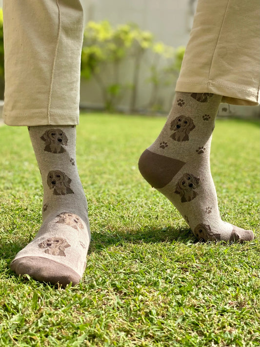 Dark brown dog