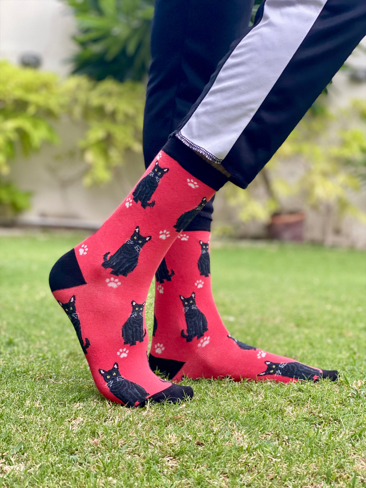 Black cat socks