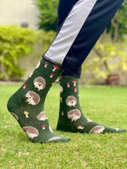 Hedgehog socks