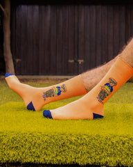 Signature Bear Collection