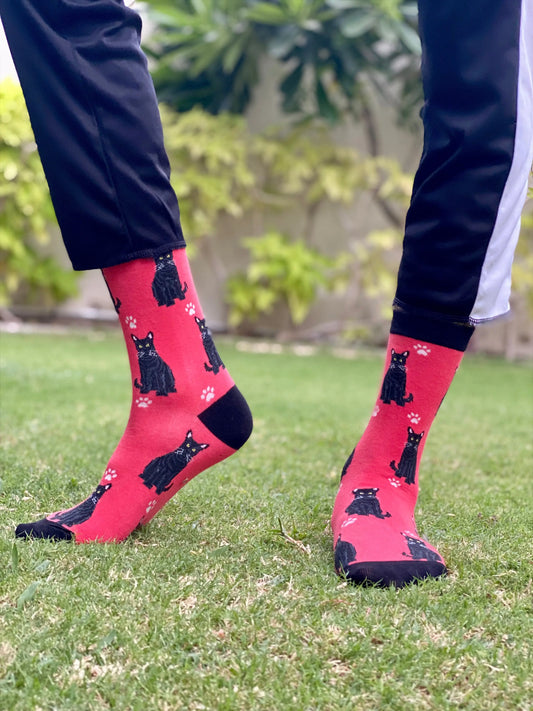 Black cat socks