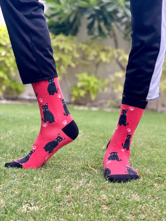Black cat socks