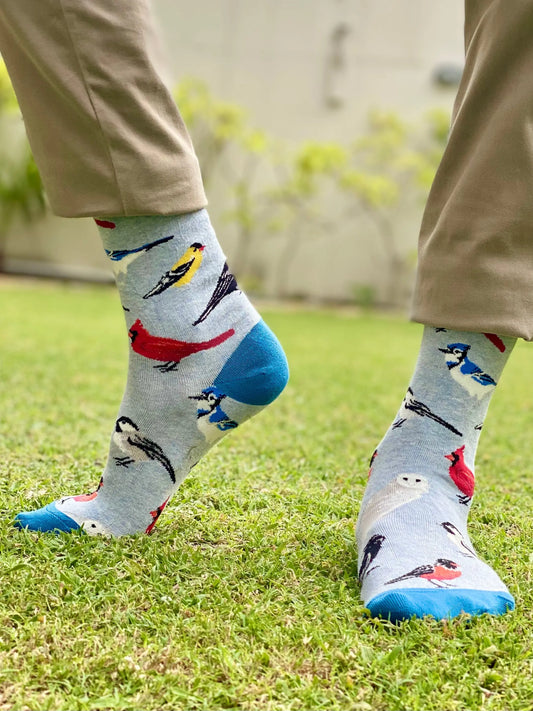 Chirpy birds (fn1021)