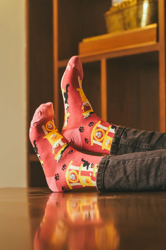 Book Lovers (Pack of 3)