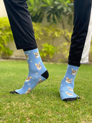 Light blue dog