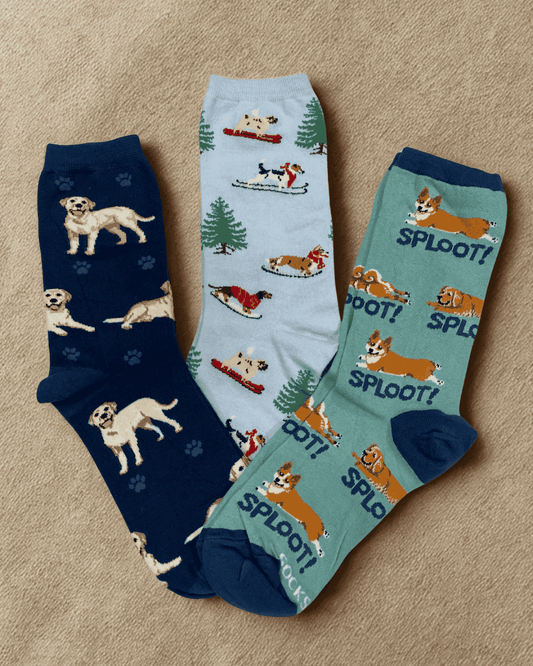 Dog Collection (Pack of 3)