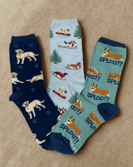 Dog Collection (Pack of 3)